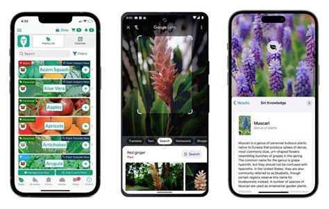 Gardening help in the palm of your hand: 5 apps, phone tips